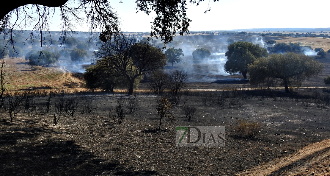 Un incendio en la frontera calcina 150 hectáreas (Badajoz)