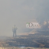 Incendio forestal en Tierra de Barros