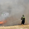 Incendio forestal en Tierra de Barros