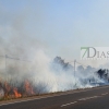 El fuego calcina una antigua discoteca de la Carretera de Olivenza