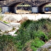 El salvaje estado que ofrece el Rivillas a su paso por Badajoz