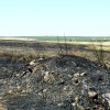 Los bomberos del CEPEI y del INFOEX actúan en un incendio en la Albuera