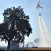 Un incendio en la frontera calcina 150 hectáreas (Badajoz)