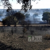 Un incendio en la frontera calcina 150 hectáreas (Badajoz)