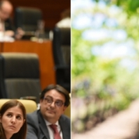 La Unión: &quot;Discriminación insultante al sector del vino extremeño y la consejera tan contenta&quot;