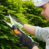 Más de 35 millones para el Programa Empleo de Experiencia