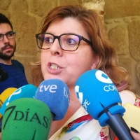 Domínguez exige a Vara que explique la última incidencia del tren