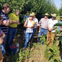 UPA: “Queremos mejoras en los seguros sin que suponga más coste para el agricultor”