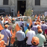 UPA-UCE se suma a la protesta contra los aranceles a la aceituna negra
