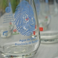 La Diputación de Badajoz se enfrenta al plástico con 6.000 botellas de cristal