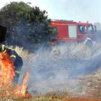 Incendio forestal en Tierra de Barros