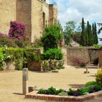 Cine gratis en los Jardines de la Galera