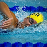 La Copa Judex de natación 2018 se disputa en Montijo