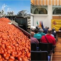 Precaución ante las 2 millones de toneladas de tomate que circularán por Extremadura este verano