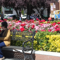 Los pensionistas extremeños reciben 26 millones de euros por los atrasos