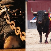 Montijo prohíbe la instalación de circos con animales y no subvencionará espectáculos taurinos