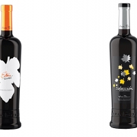 Éxito de los vinos D.O. Ribera del Guadiana en los más prestigiosos concursos
