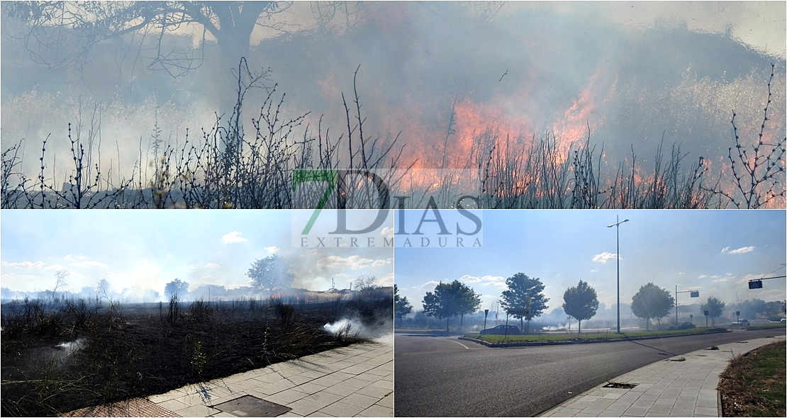 Incendio en la carretera de Valverde (Badajoz)