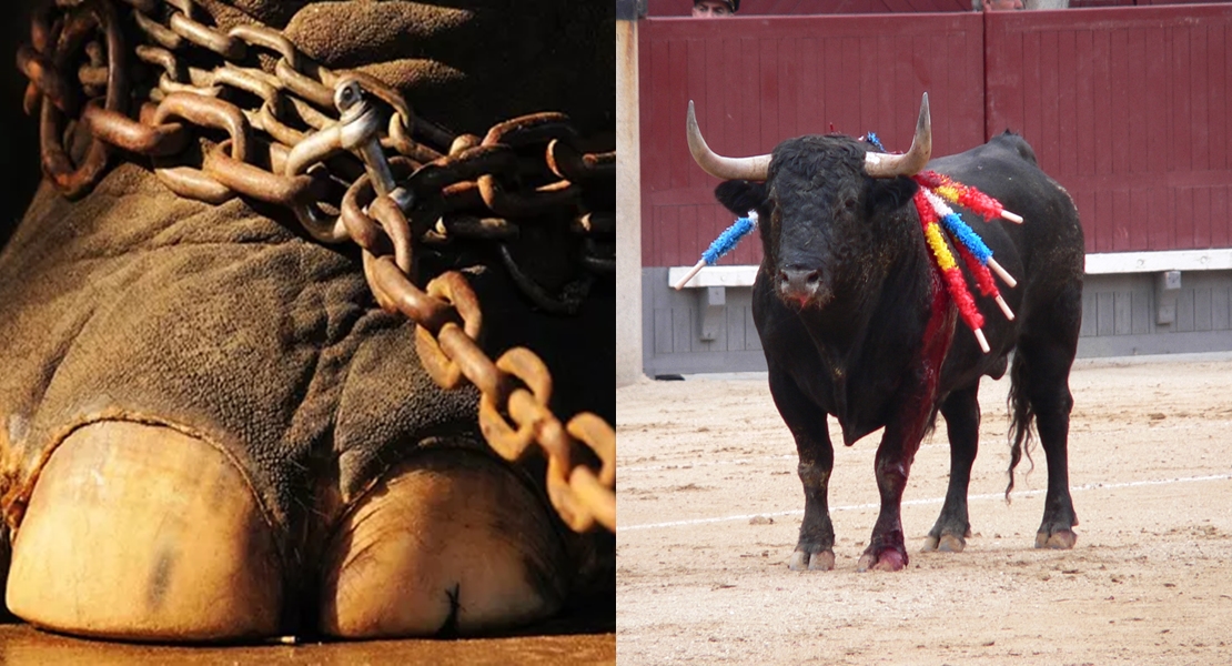 Montijo prohíbe la instalación de circos con animales y no subvencionará espectáculos taurinos