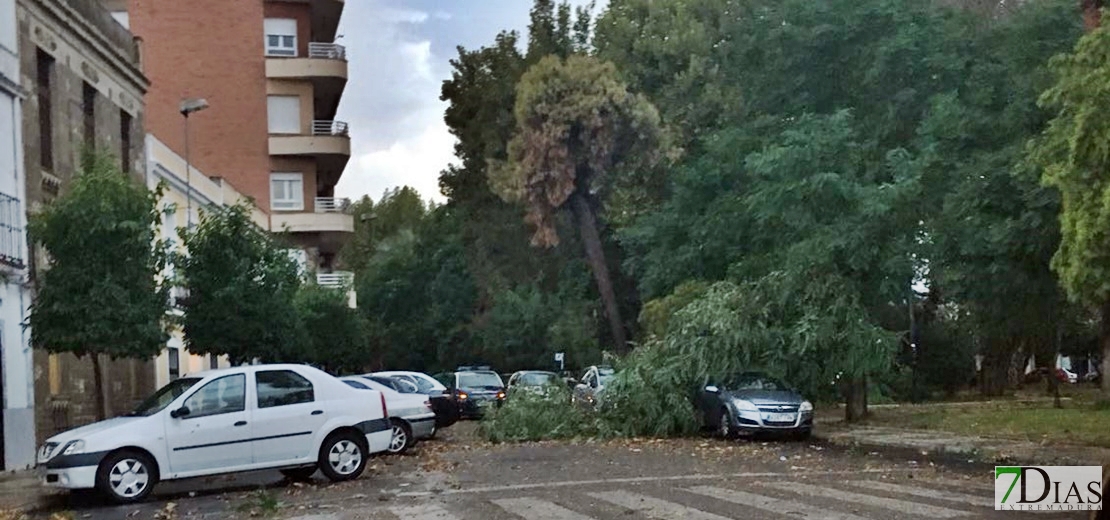 Una fuerte tormenta ocasiona graves daños y obliga a cortar varias calles en Mérida