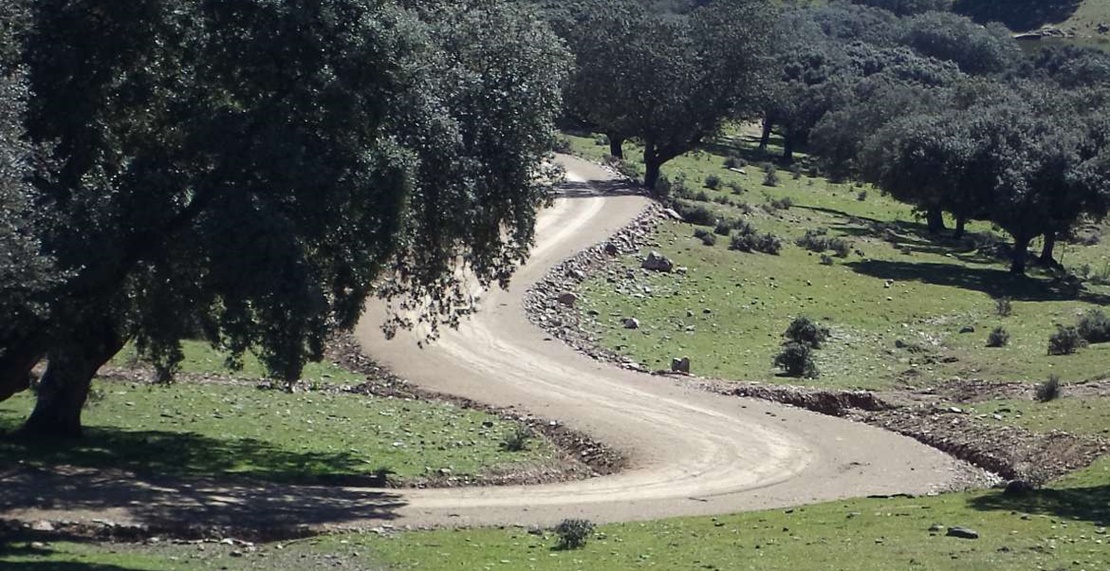 Ayudas a la maquinaria para el mantenimiento de los caminos rurales