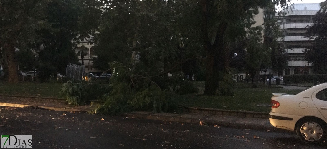 Una fuerte tormenta ocasiona graves daños y obliga a cortar varias calles en Mérida