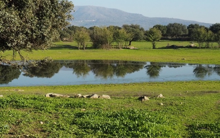 Extremadura fomentará el manejo holístico sostenible de los pastos a través de un proyecto