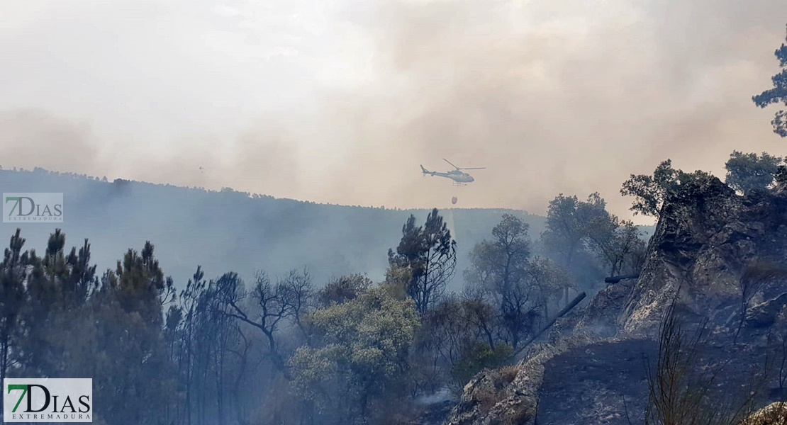 Imágenes en exclusiva del grave incendio forestal declarado en la Sierra de Jola