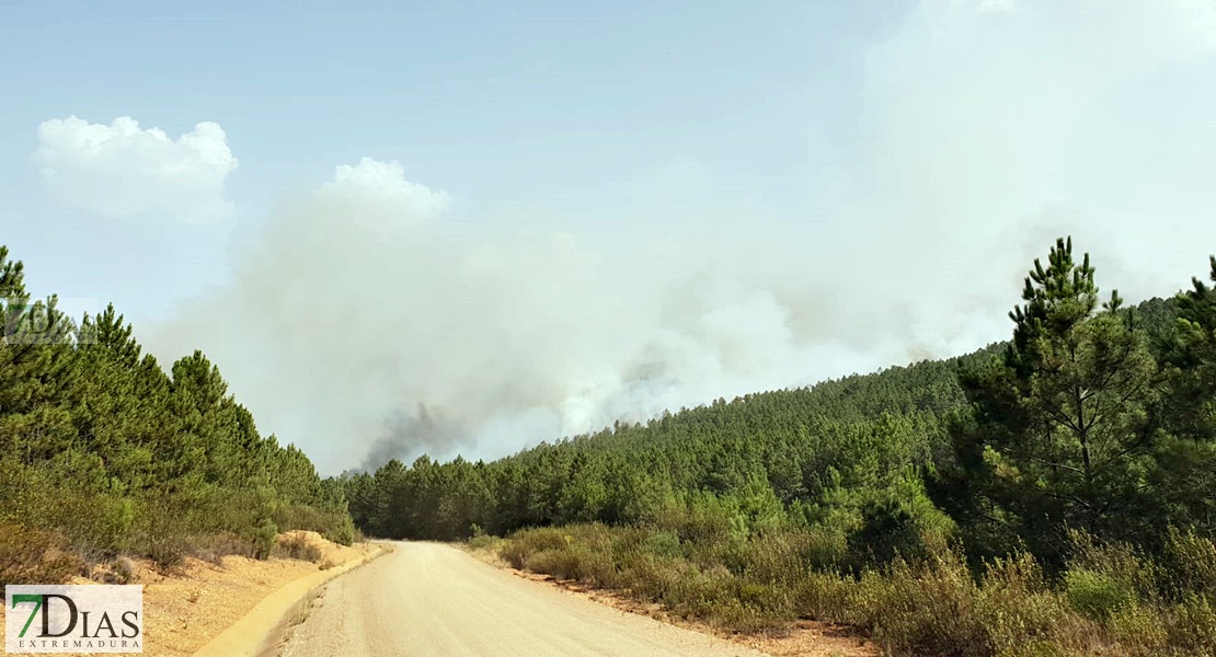 Imágenes en exclusiva del grave incendio forestal declarado en la Sierra de Jola