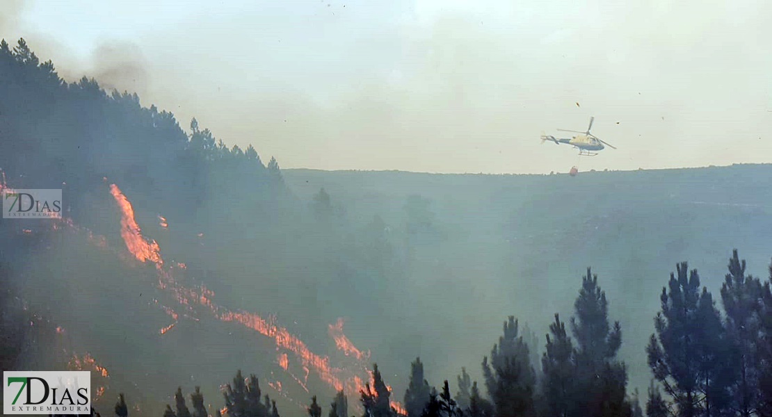 Imágenes en exclusiva del grave incendio forestal declarado en la Sierra de Jola