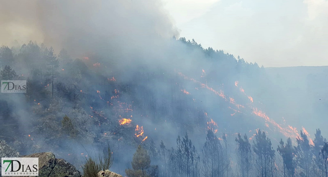 Imágenes en exclusiva del grave incendio forestal declarado en la Sierra de Jola