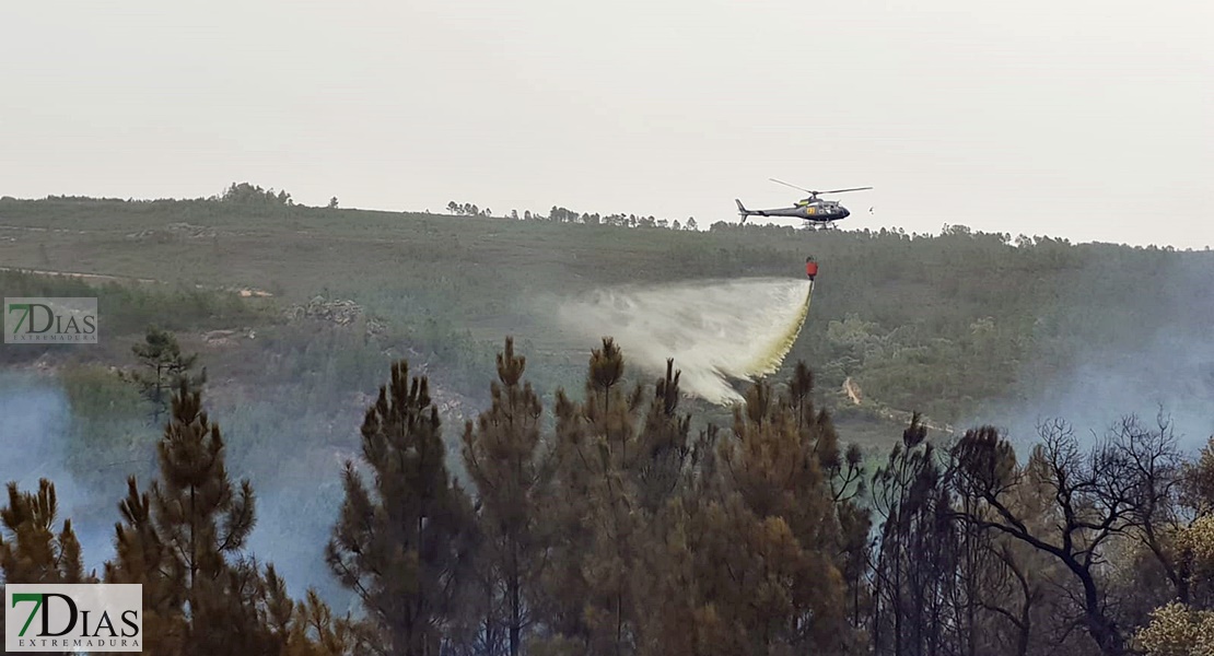 Imágenes en exclusiva del grave incendio forestal declarado en la Sierra de Jola