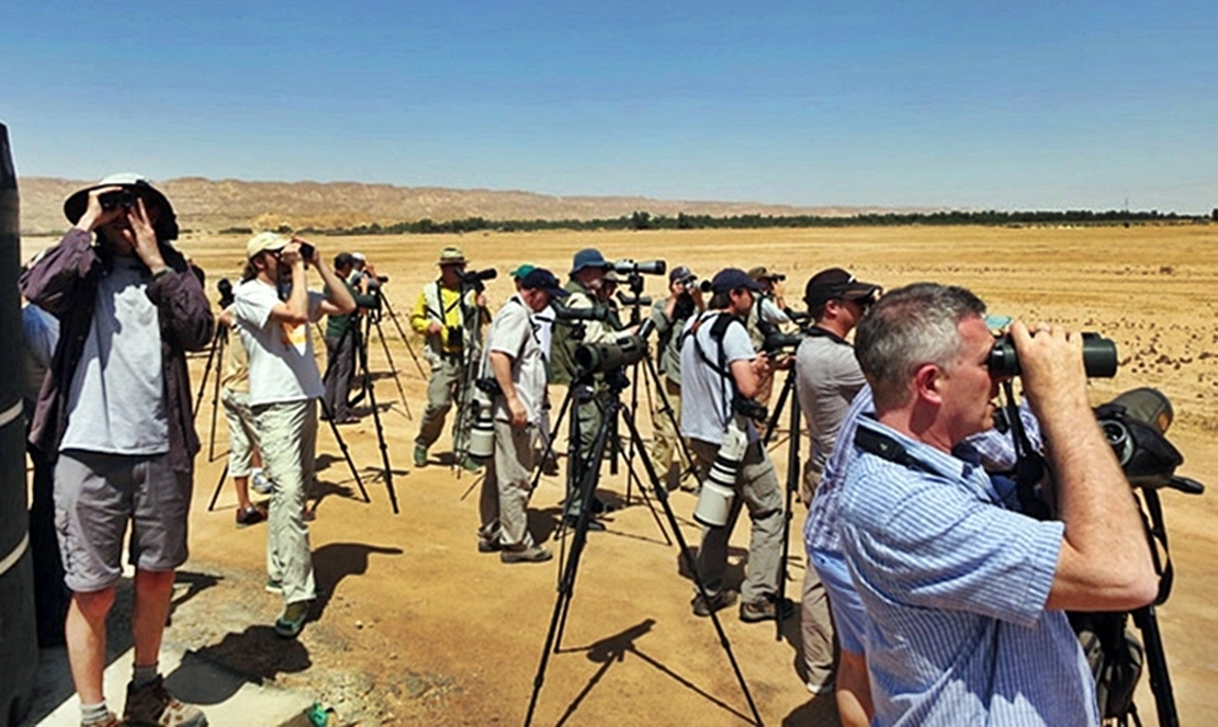 Británicos, alemanes y holandeses, mayoría de turistas ornitológicos que visitan Extremadura