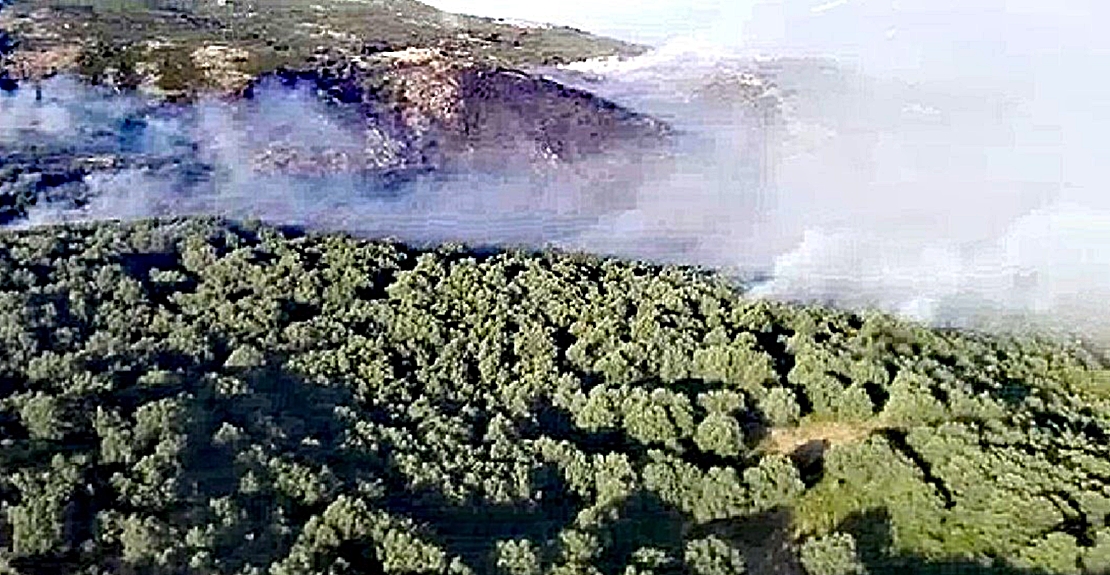 Imágenes del incendio en Cabezuela del Valle (Cáceres)