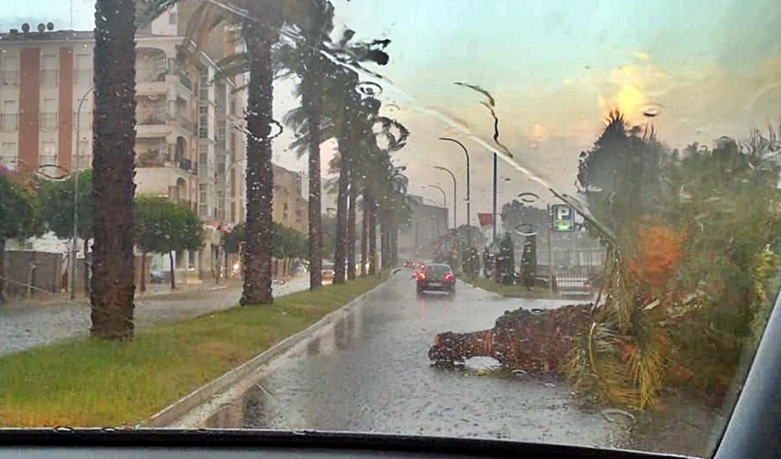 Imágenes que dejó la tormenta a su paso por Mérida