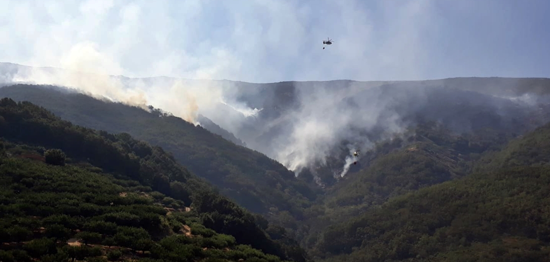Imágenes del incendio en Cabezuela del Valle (Cáceres)