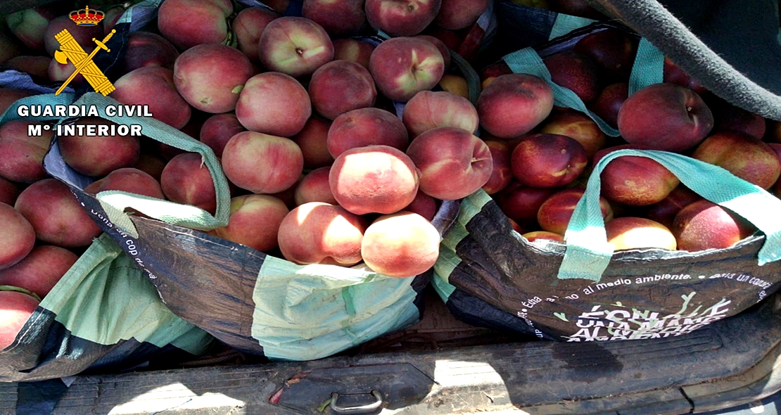 La Guardia Civil sorprende a dos vecinos de Badajoz tras sustraer 300 kg de fruta