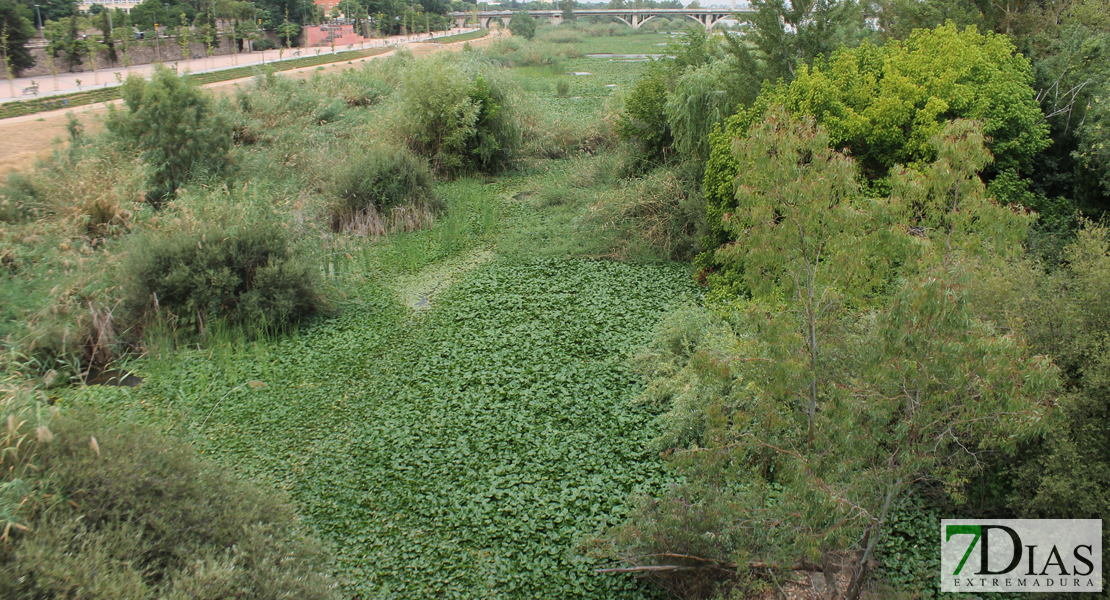 Estado actual del río Guadiana a su paso por Badajoz