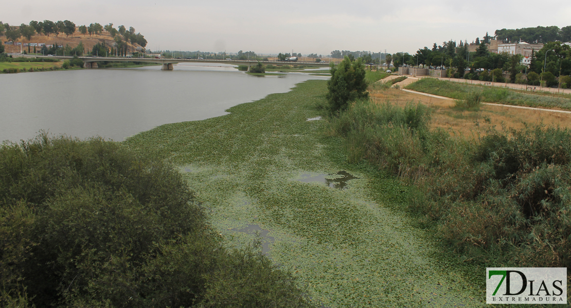 Estado actual del río Guadiana a su paso por Badajoz