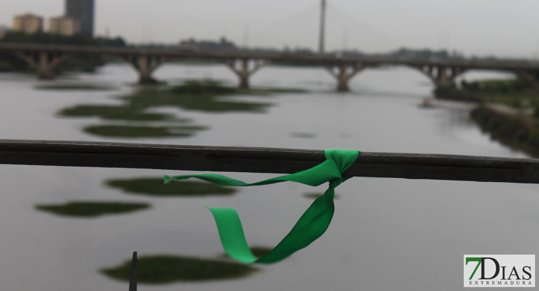 Estado actual del río Guadiana a su paso por Badajoz