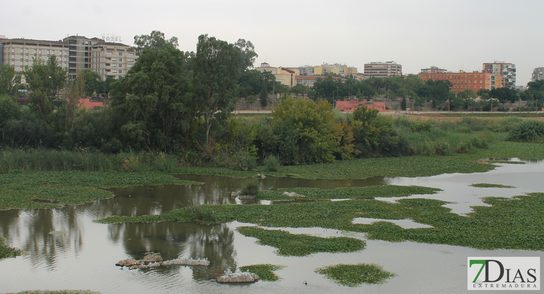 Estado actual del río Guadiana a su paso por Badajoz