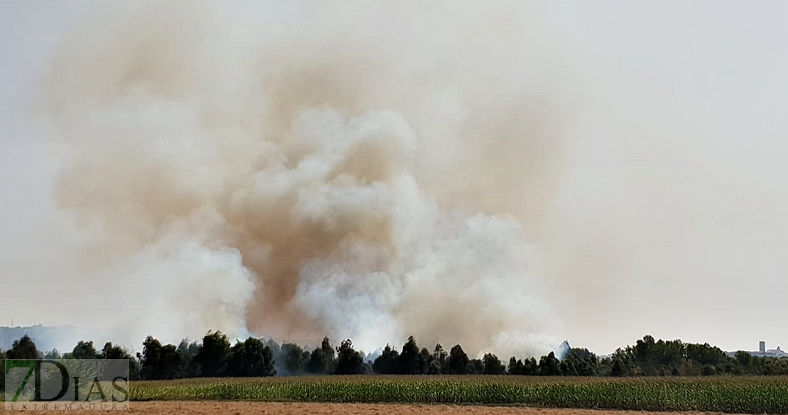 Un incendio en la ribera del Guadiana avanza sin control cerca de Barbaño (Badajoz)