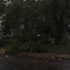 Una fuerte tormenta ocasiona graves daños y obliga a cortar varias calles en Mérida