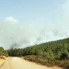 Imágenes en exclusiva del grave incendio forestal declarado en la Sierra de Jola