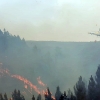 Imágenes en exclusiva del grave incendio forestal declarado en la Sierra de Jola