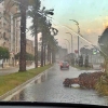 Imágenes que dejó la tormenta a su paso por Mérida