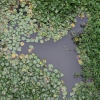 Estado actual del río Guadiana a su paso por Badajoz