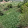 Estado actual del río Guadiana a su paso por Badajoz