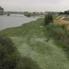 Estado actual del río Guadiana a su paso por Badajoz