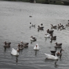 Estado actual del río Guadiana a su paso por Badajoz